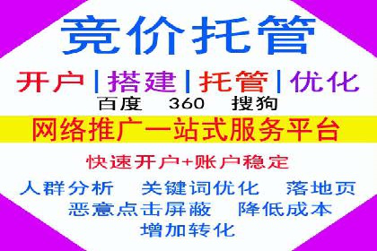 托管竞价sem案例分享：某电商平台的成功之路