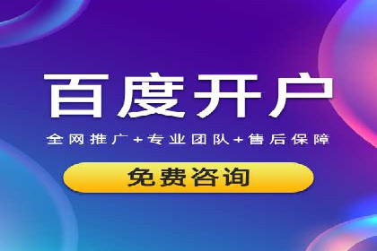SEM代理操作技巧：成功案例揭秘
